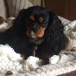 Meet your Posher, Machelle